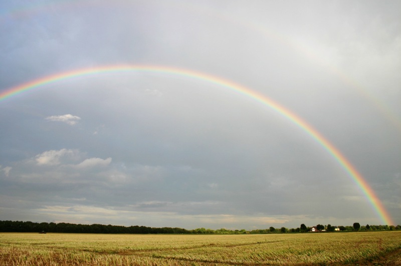 regenbogen3.jpg