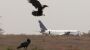 Probleme mit Boeing 737 bei Landung in der Türkei – und beim Start im Senegal - DER SPIEGEL