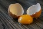 Pünktlich zu Ostern: Dioxin in Bio-Eiern entdeckt ? Betrieb gesperrt - Nachrichten Wirtschaft - WELT ONLINE