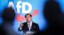 Trotz Spionage: AfD BW weiter für Europa-Spitzenkandidat Krah - SWR Aktuell